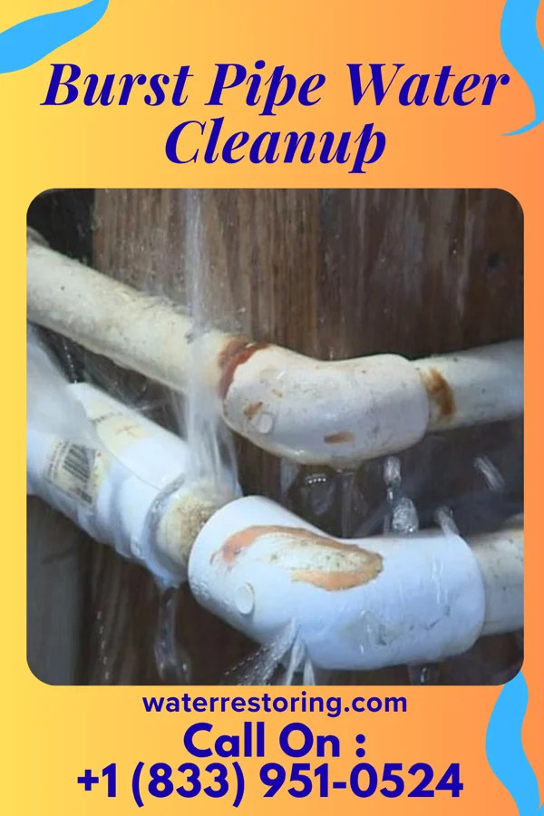 Burst Pipe Water Cleanup in West Loch Estate, HI