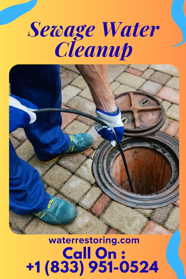 Sewage Water Cleanup in West Loch Estate, HI
